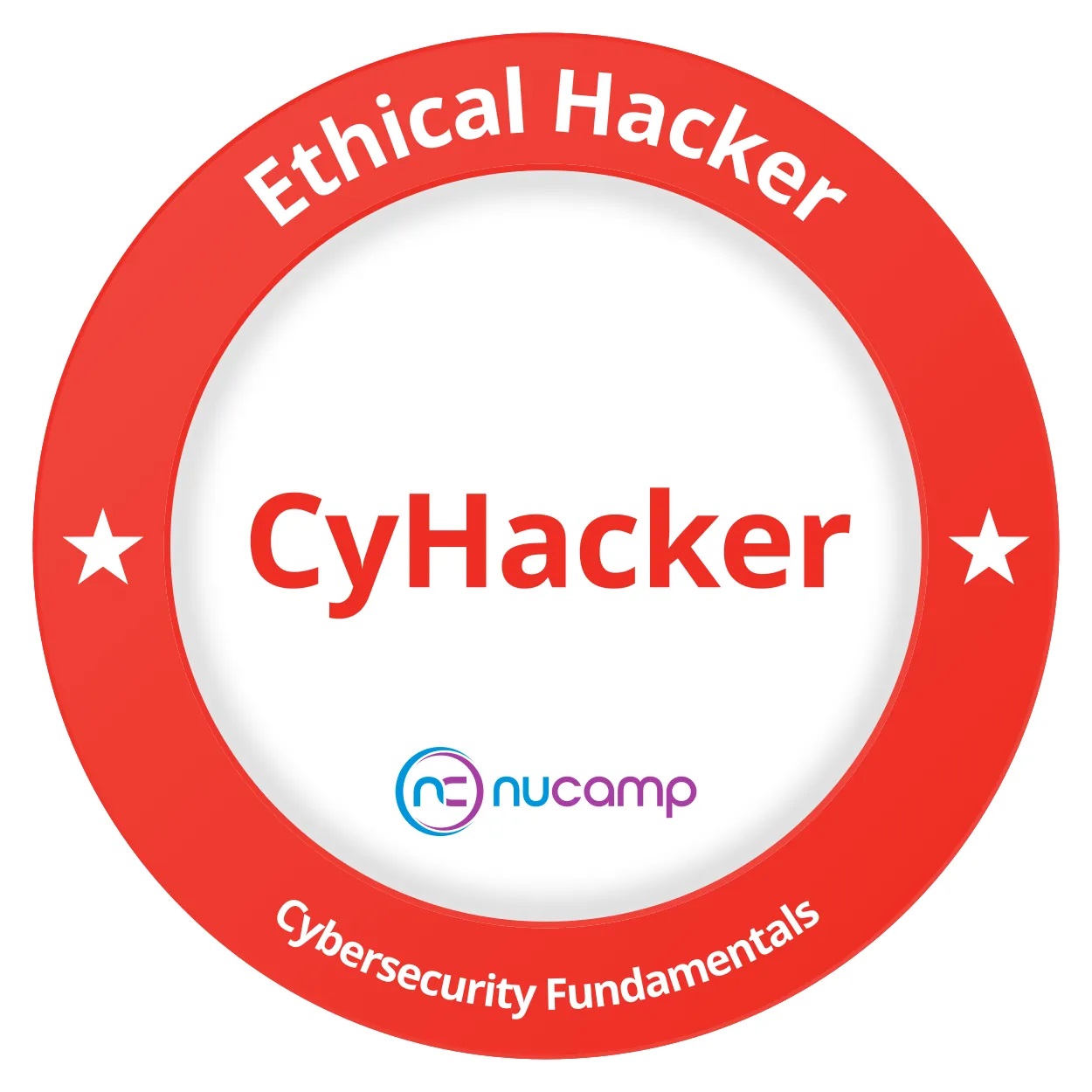 Ethical Hacking